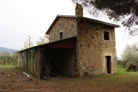 Villa a Baschi, Terni, Baschi - € 265.000 | Ref: BASCHI04 - foto 4