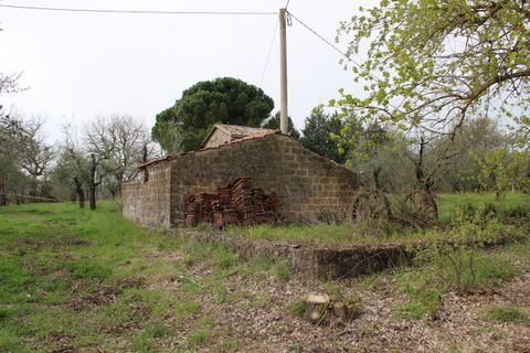 Villa a Baschi, Terni, Baschi - € 265.000 | Ref: BASCHI04 - foto 10