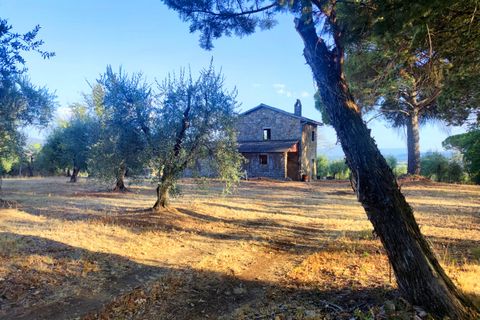 Villa a Baschi, Terni, Baschi - € 265.000 | Ref: BASCHI04 - foto 13