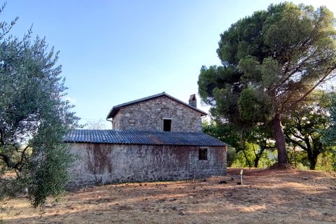 Villa a Baschi, Terni, Baschi - € 265.000 | Ref: BASCHI04 - foto 14