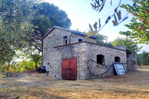 Villa a Baschi, Terni, Baschi - € 265.000 | Ref: BASCHI04 - foto 15