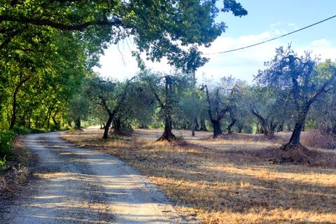 Villa a Baschi, Terni, Baschi - € 265.000 | Ref: BASCHI04 - foto 20