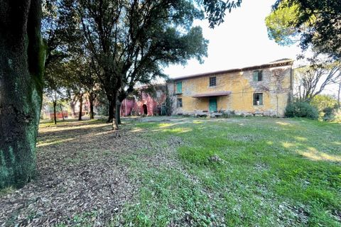Villa i Collesalvetti, Livorno, Collesalvetti - € 1.500.000 | Ref: 172 - foto 2