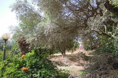 Villa a Caltanissetta, Caltanissetta, Caltanissetta - € 160.000 | Ref: 1465 - foto 13
