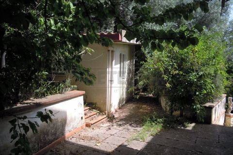 Villa a Caltanissetta, Caltanissetta, Caltanissetta - € 160.000 | Ref: 1465 - foto 15