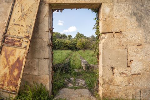 Villa i Ostuni, Brindisi, Ostuni - € 690.000 | Ref: 459 - foto 5