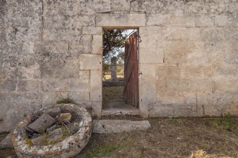 Villa i Ostuni, Brindisi, Ostuni - € 1.250.000 | Ref: 465 - foto 5