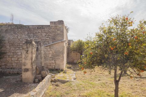 Villa i Ostuni, Brindisi, Ostuni - € 1.250.000 | Ref: 465 - foto 7