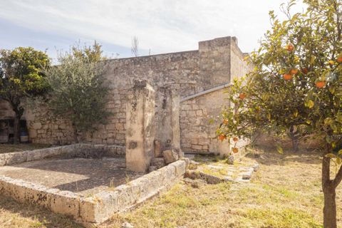 Villa i Ostuni, Brindisi, Ostuni - € 1.250.000 | Ref: 465 - foto 8