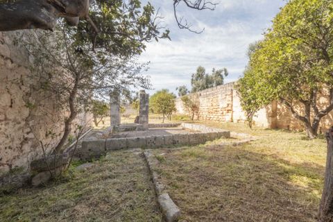 Villa i Ostuni, Brindisi, Ostuni - € 1.250.000 | Ref: 465 - foto 20