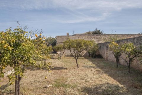 Villa i Ostuni, Brindisi, Ostuni - € 1.250.000 | Ref: 465 - foto 21