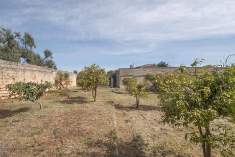 Villa i Ostuni, Brindisi, Ostuni - € 1.250.000 | Ref: 465 - foto 22