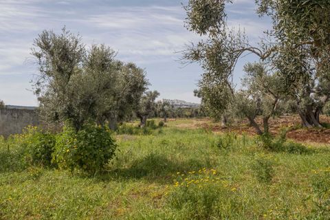 Villa i Ostuni, Brindisi, Ostuni - € 1.250.000 | Ref: 465 - foto 40