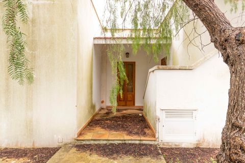 Villa i Ostuni, Brindisi, Ostuni - € 630.000 | Ref: 542 - foto 14