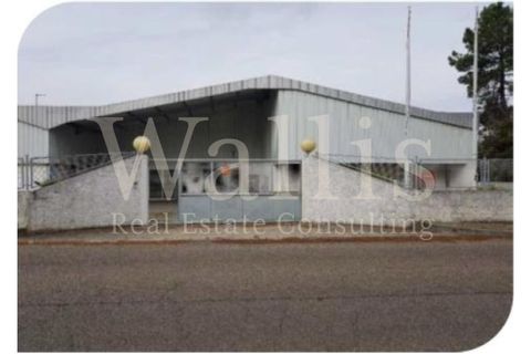Næringseiendom i Muge, Santarem, Muge - € 1 350 000 | Ref: W4549 - foto 3