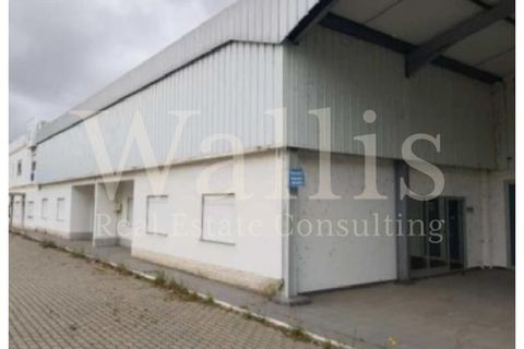 Næringseiendom i Muge, Santarem, Muge - € 1 350 000 | Ref: W4549 - foto 4