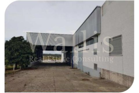 Næringseiendom i Muge, Santarem, Muge - € 1 350 000 | Ref: W4549 - foto 10