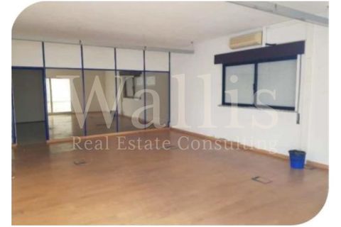 Næringseiendom i Muge, Santarem, Muge - € 1 350 000 | Ref: W4549 - foto 18