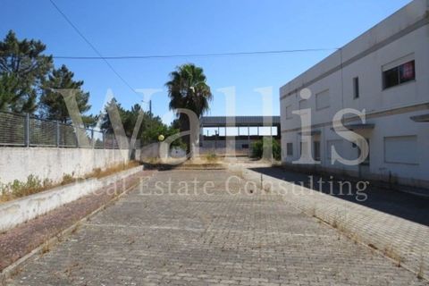 Næringseiendom i Muge, Santarem, Muge - € 1 350 000 | Ref: W4549 - foto 9
