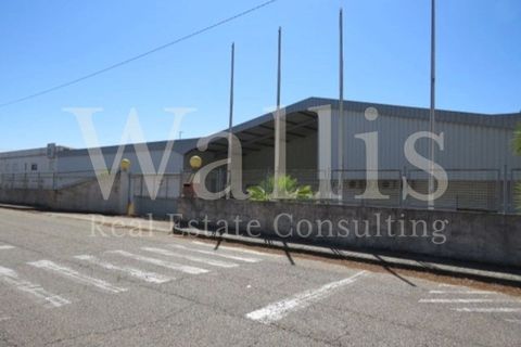 Næringseiendom i Muge, Santarem, Muge - € 1 350 000 | Ref: W4549 - foto 30