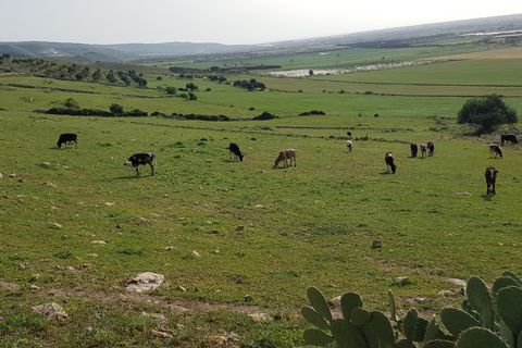 Villa a Ragusa, Ragusa, Ragusa - € 60.000 | Ref: VV010 - foto 7