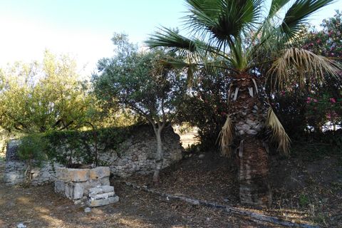 Villa i Chiaramonte Gulfi, Ragusa, Chiaramonte Gulfi - € 345.000 | Ref: VV029 - foto 2