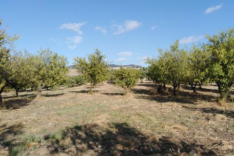 Villa i Chiaramonte Gulfi, Ragusa, Chiaramonte Gulfi - € 345.000 | Ref: VV029 - foto 9