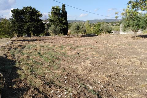 Villa i Chiaramonte Gulfi, Ragusa, Chiaramonte Gulfi - € 345.000 | Ref: VV029 - foto 16