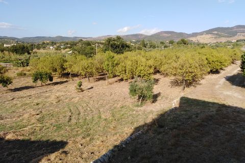 Villa i Chiaramonte Gulfi, Ragusa, Chiaramonte Gulfi - € 345.000 | Ref: VV029 - foto 21