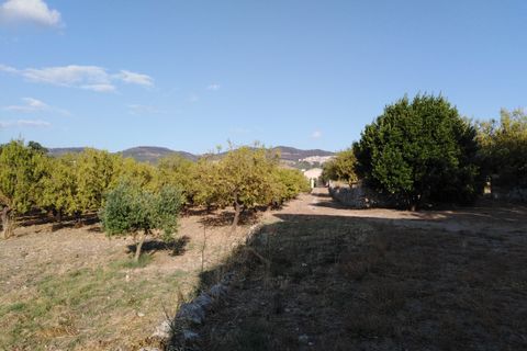 Villa i Chiaramonte Gulfi, Ragusa, Chiaramonte Gulfi - € 345.000 | Ref: VV029 - foto 22