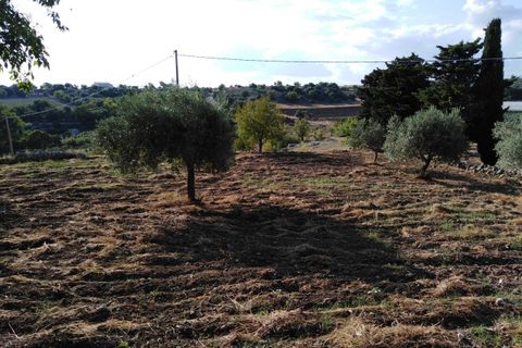 Villa i Chiaramonte Gulfi, Ragusa, Chiaramonte Gulfi - € 345.000 | Ref: VV029 - foto 23