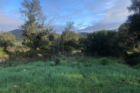 Helårsgrund i Benafim, Faro, Benafim - € 190.000 | Ref: SÒL_50703 - foto 6