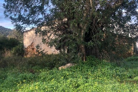 Helårsgrund i Benafim, Faro, Benafim - € 190.000 | Ref: SÒL_50703 - foto 7