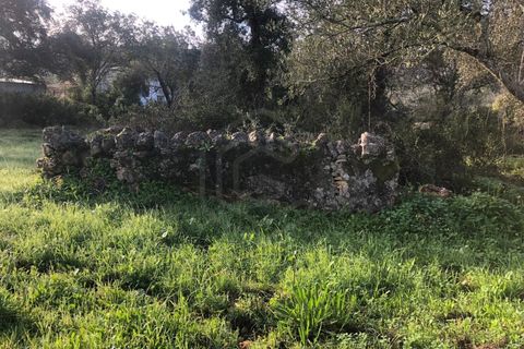 Helårsgrund i Benafim, Faro, Benafim - € 190.000 | Ref: SÒL_50703 - foto 8