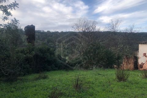 Helårsgrund i Benafim, Faro, Benafim - € 190.000 | Ref: SÒL_50703 - foto 10