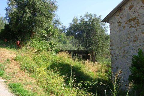 Byhus i Massarosa, Lucca, Massarosa - € 80.000 | Ref: 74595 - foto 5