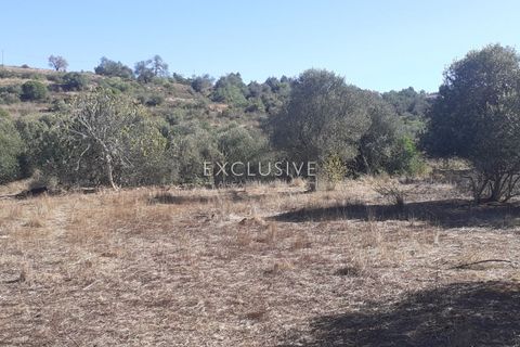 Helårsgrund i Silves, Faro, Silves - € 295.000 | Ref: EAV-3608 - foto 12