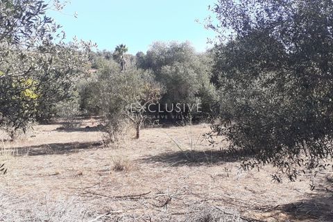 Helårsgrund i Silves, Faro, Silves - € 295.000 | Ref: EAV-3608 - foto 13
