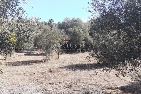 Helårsgrund i Silves, Faro, Silves - € 295.000 | Ref: EAV-3608 - foto 6