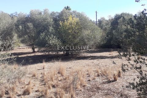 Helårsgrund i Silves, Faro, Silves - € 295.000 | Ref: EAV-3608 - foto 7