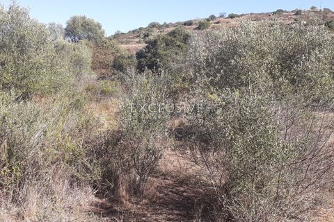Helårsgrund i Silves, Faro, Silves - € 295.000 | Ref: EAV-3608 - foto 9