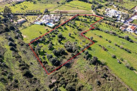 Helårsgrund i Silves, Faro, Silves - € 295.000 | Ref: EAV-3608 - foto 8