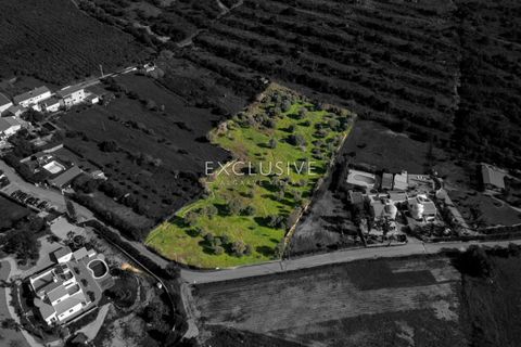 Helårsgrund i Silves, Faro, Silves - € 295.000 | Ref: EAV-3608 - foto 10