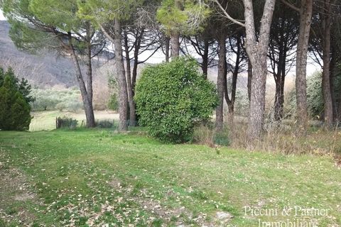 Villa a Cetona, Siena, Cetona - € 1.650.000 | Ref: PG1412 - foto 46
