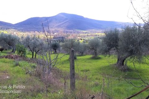 Byhus i Panicale, Perugia, Panicale - € 170.000 | Ref: PG1424 - foto 21