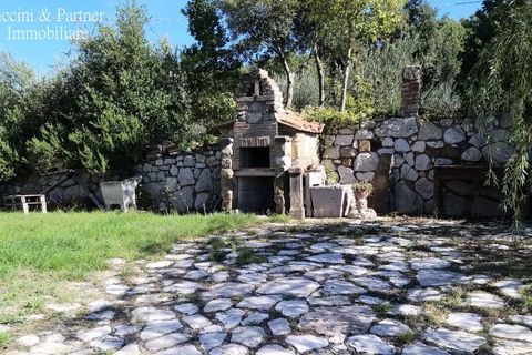 Villa i Umbertide, Perugia, Umbertide - € 295.000 | Ref: PG1495 - foto 42