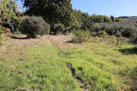 Villa i Umbertide, Perugia, Umbertide - € 295.000 | Ref: PG1495 - foto 44