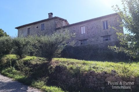 Villa i Umbertide, Perugia, Umbertide - € 295.000 | Ref: PG1495 - foto 49