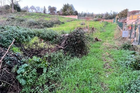 Terra a Morlupo, Rome, Morlupo - € 30.000 | Ref: 1487 - foto 2