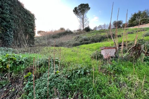 Terra a Morlupo, Rome, Morlupo - € 30.000 | Ref: 1487 - foto 3